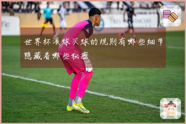 世界杯滚球买球的规则有哪些细节隐藏着哪些秘密