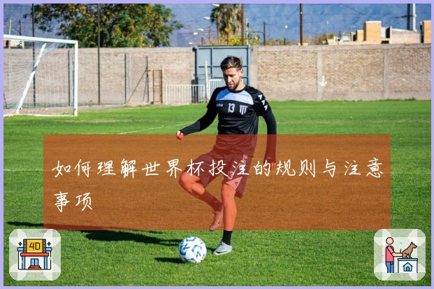 如何理解世界杯投注的规则与注意事项