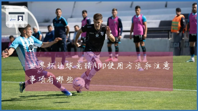 世界杯让球竞猜App使用方法和注意事项有哪些