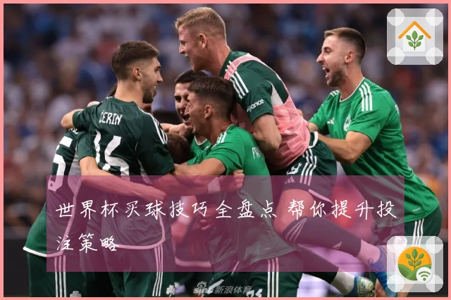 世界杯买球技巧全盘点 帮你提升投注策略