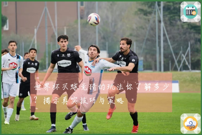 世界杯买球竞猜的玩法你了解多少？揭示真实技巧与策略
