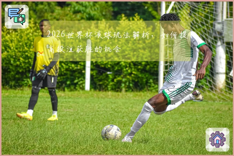 2026世界杯滚球玩法解析，如何提高投注获胜的机会