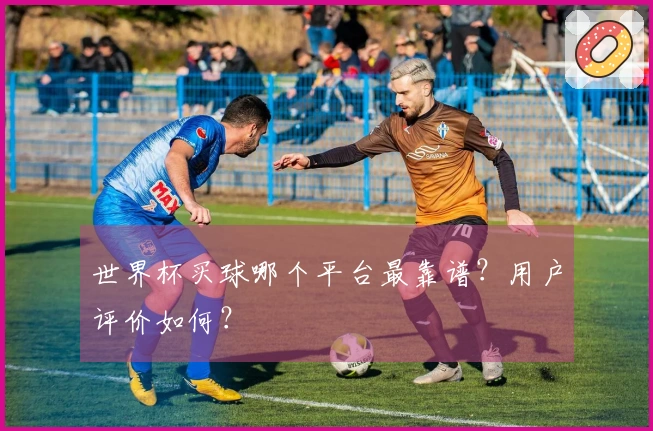 世界杯买球哪个平台最靠谱？用户评价如何？
