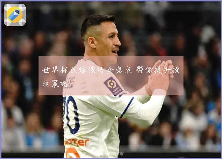 世界杯买球技巧全盘点 帮你提升投注策略