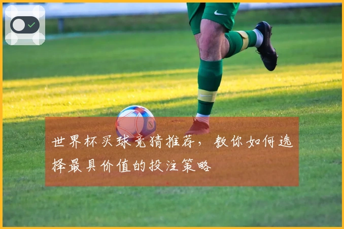 世界杯买球竞猜推荐，教你如何选择最具价值的投注策略