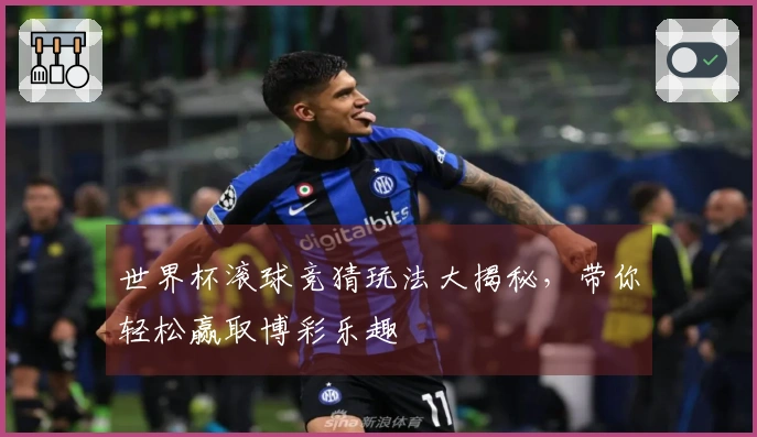 世界杯滚球竞猜玩法大揭秘，带你轻松赢取博彩乐趣