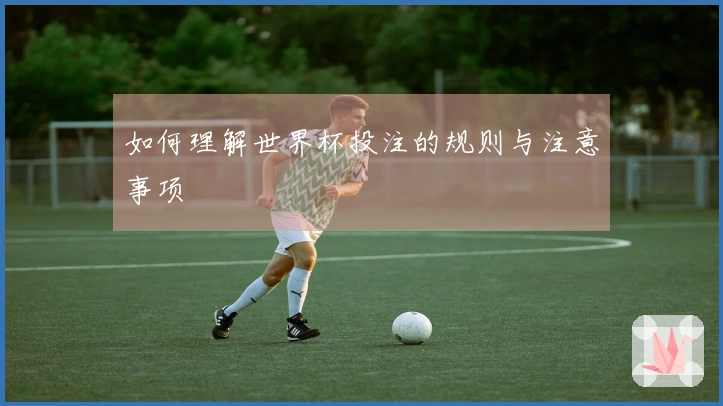 如何理解世界杯投注的规则与注意事项