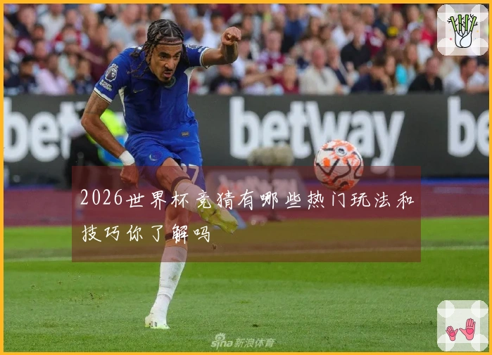 2026世界杯竞猜有哪些热门玩法和技巧你了解吗