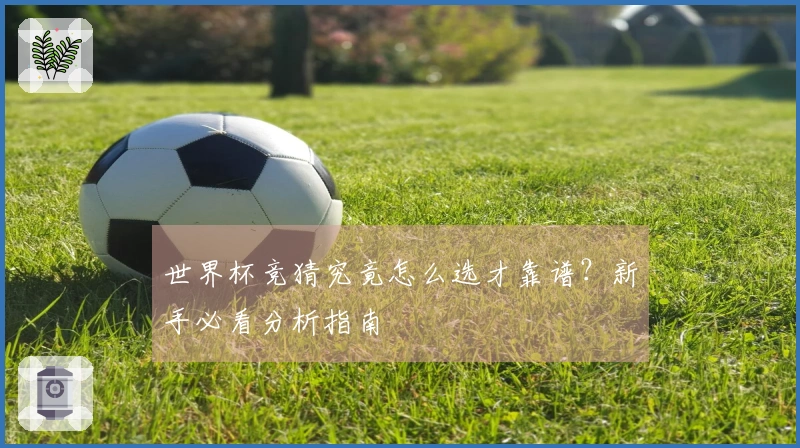 世界杯竞猜究竟怎么选才靠谱？新手必看分析指南