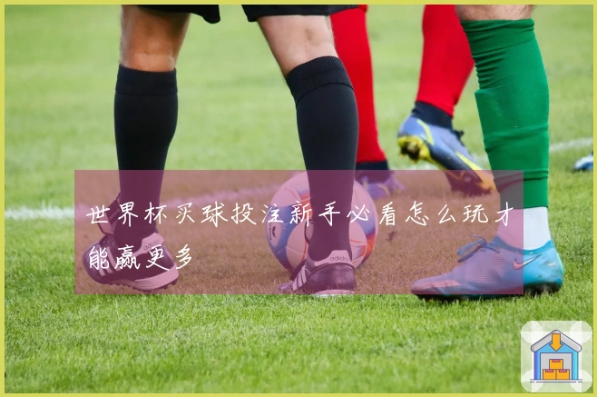 世界杯买球投注新手必看怎么玩才能赢更多