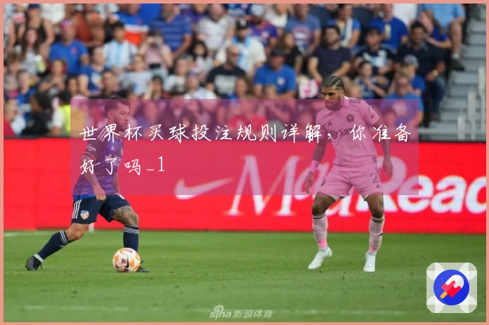 世界杯买球投注规则详解，你准备好了吗_1